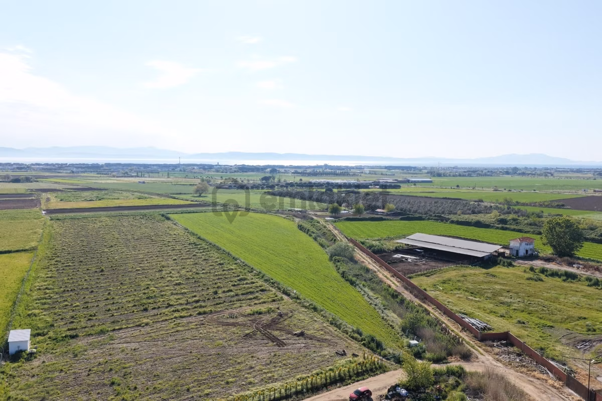 Ayvalık Altınovada Satılık 12.708 M² Arazi - 5