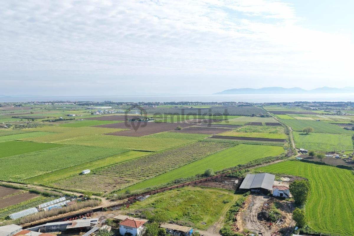 Ayvalık Altınovada Satılık 12.708 M² Arazi - 9
