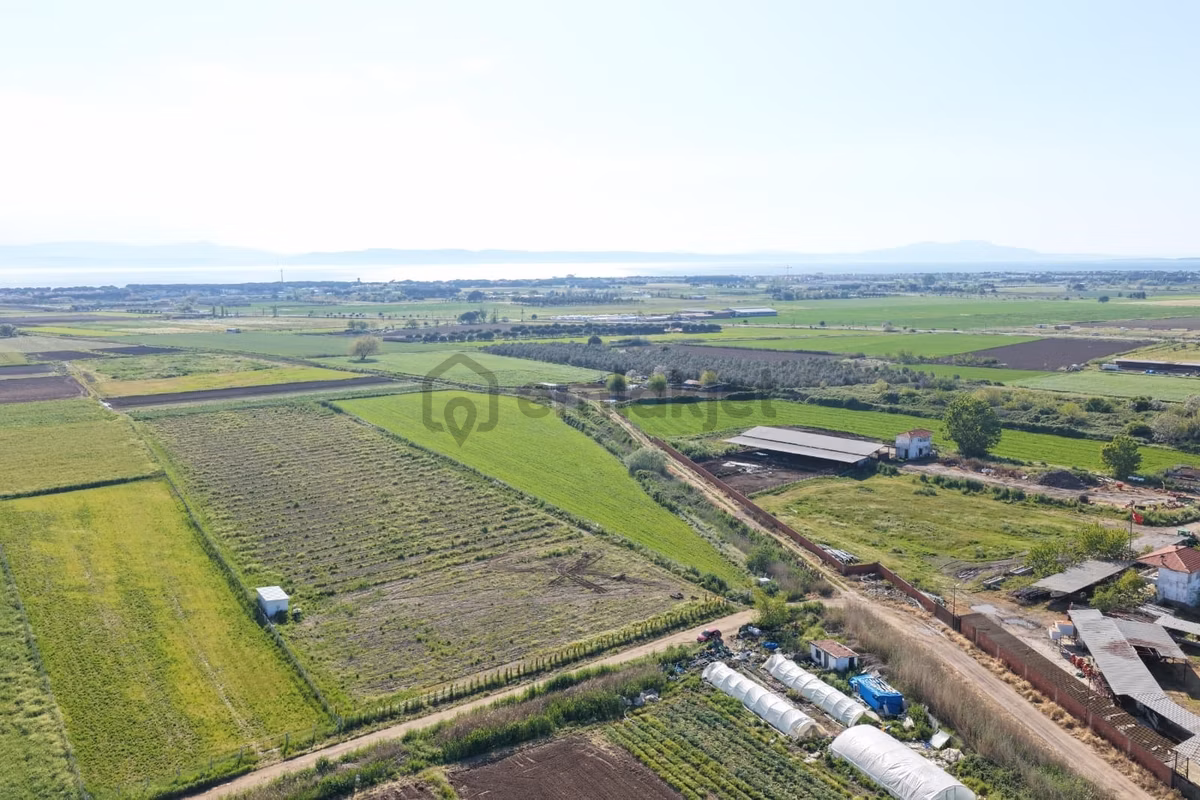 Ayvalık Altınovada Satılık 12.708 M² Arazi - 4