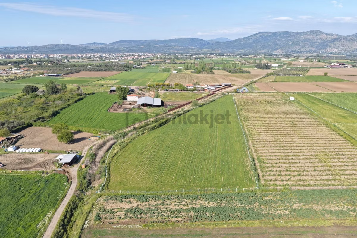 Ayvalık Altınovada Satılık 12.708 M² Arazi - 3