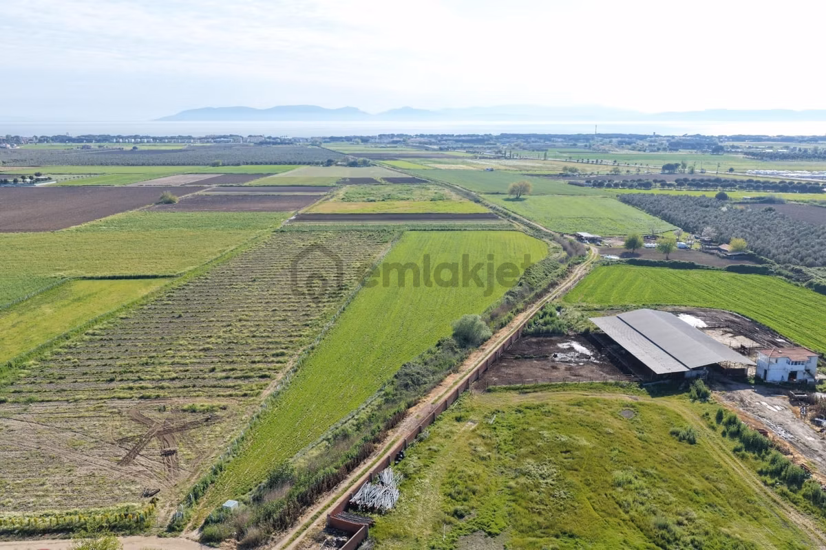 Ayvalık Altınovada Satılık 12.708 M² Arazi - 6