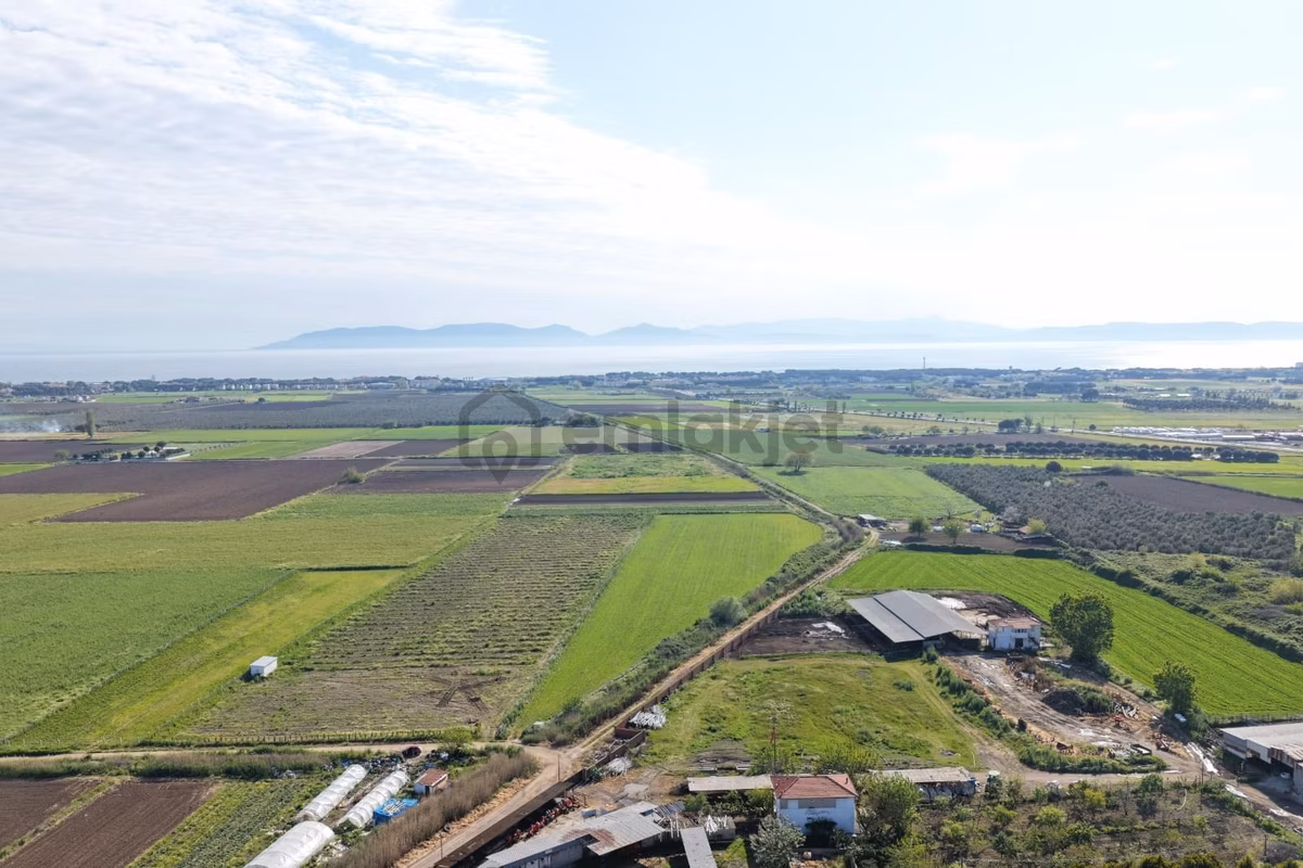 Ayvalık Altınovada Satılık 12.708 M² Arazi - 8
