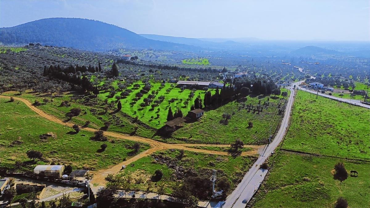 Foça Yeniköy'de Satılık Deniz Manzaralı Tarla - 30
