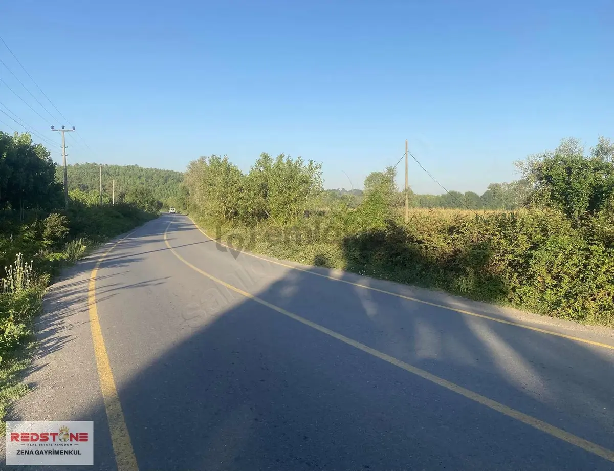 Sakarya Hendek Sivritepe Köyünde Satılık Tarla - 4
