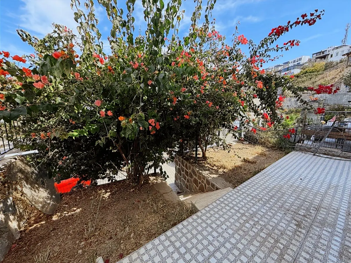 Her Köşesi İşlevli, Bahçesi Keyifli Dubleks Yaşamı - 3