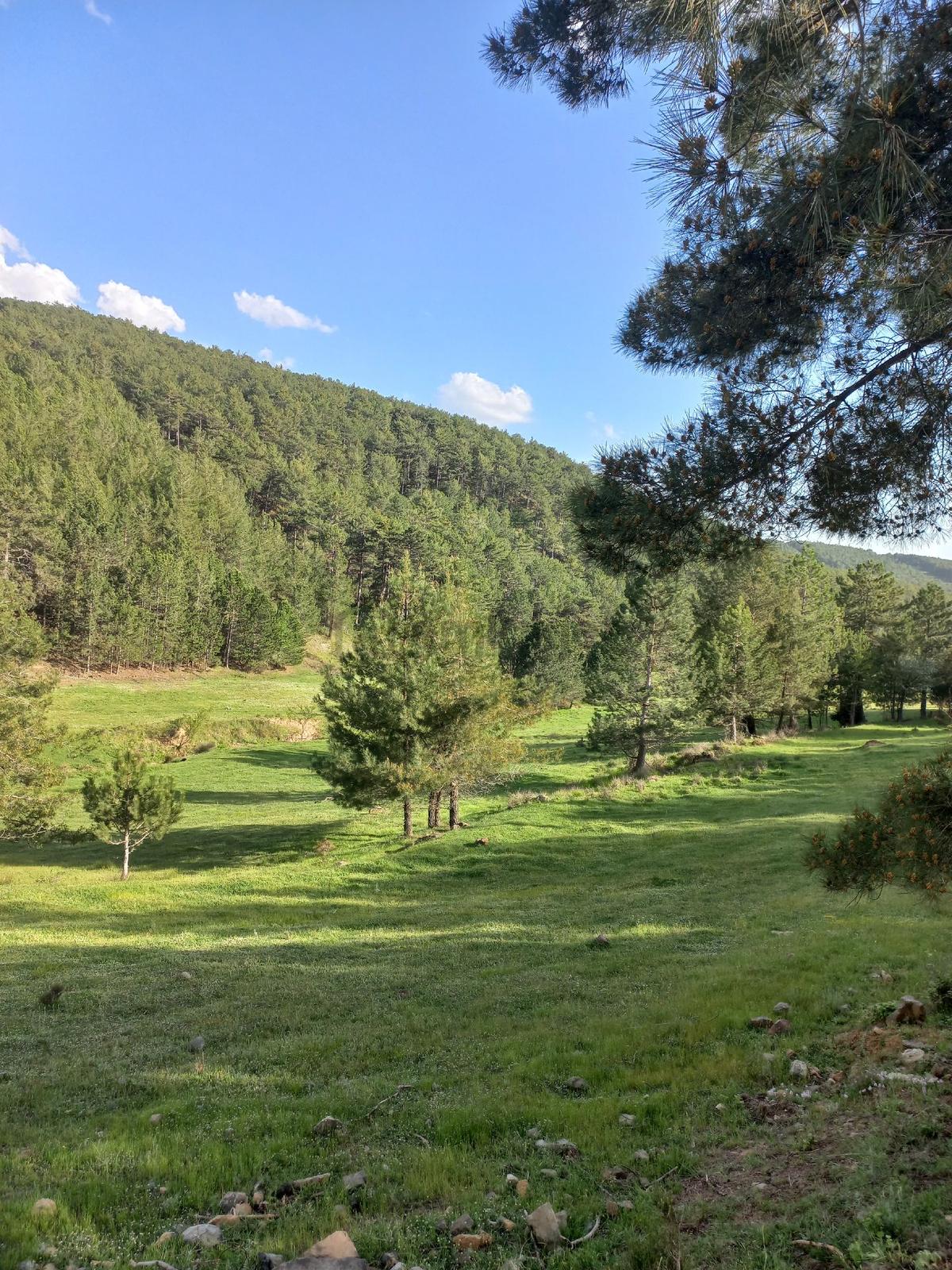 Sahibinden Satılık Yolu Ve Suyu Olan Tarla - 3