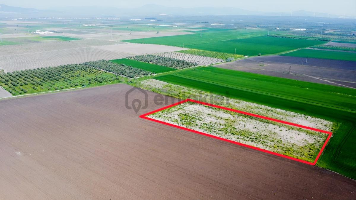 Saruhanlı Kayışlar Yakını 9 Dönüm Tarla - 5