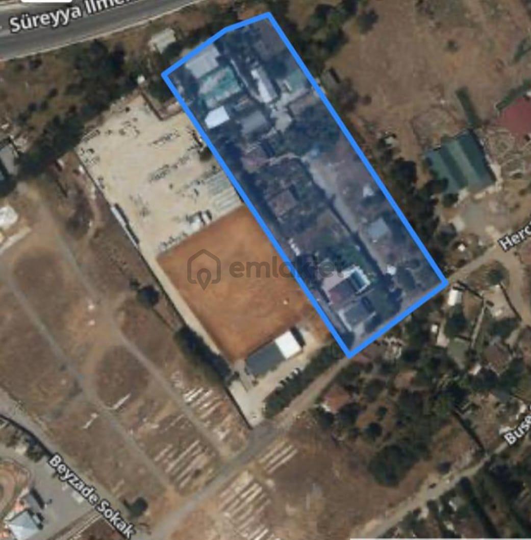Başıbüyük Kuyular Düzünde Satılık 1000 M2 Tarla !! - 3