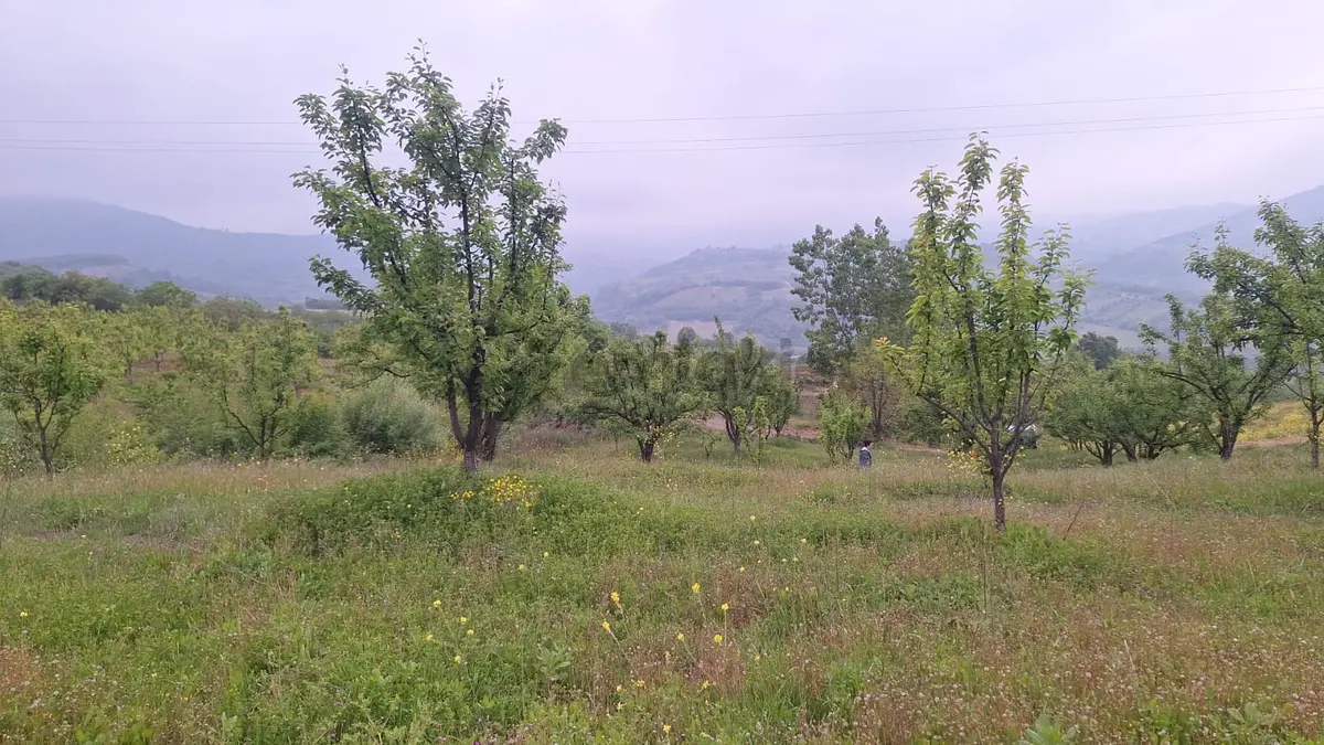 Roma' Dan Doğanyurdu Mahallesin' De Satılık Tarla - 9