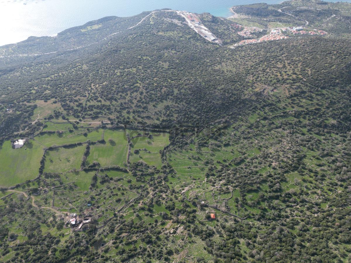 Dikili Denizköyde 38.229 M² Yatırımlık Tarla - 26