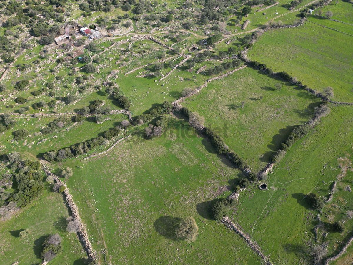 Dikili Denizköyde 38.229 M² Yatırımlık Tarla - 21
