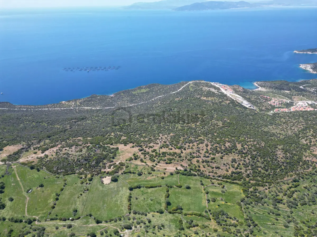 Dikili Denizköyde 138.735 M² Deniz Manzaralı Yatırımlık Tarla - 24