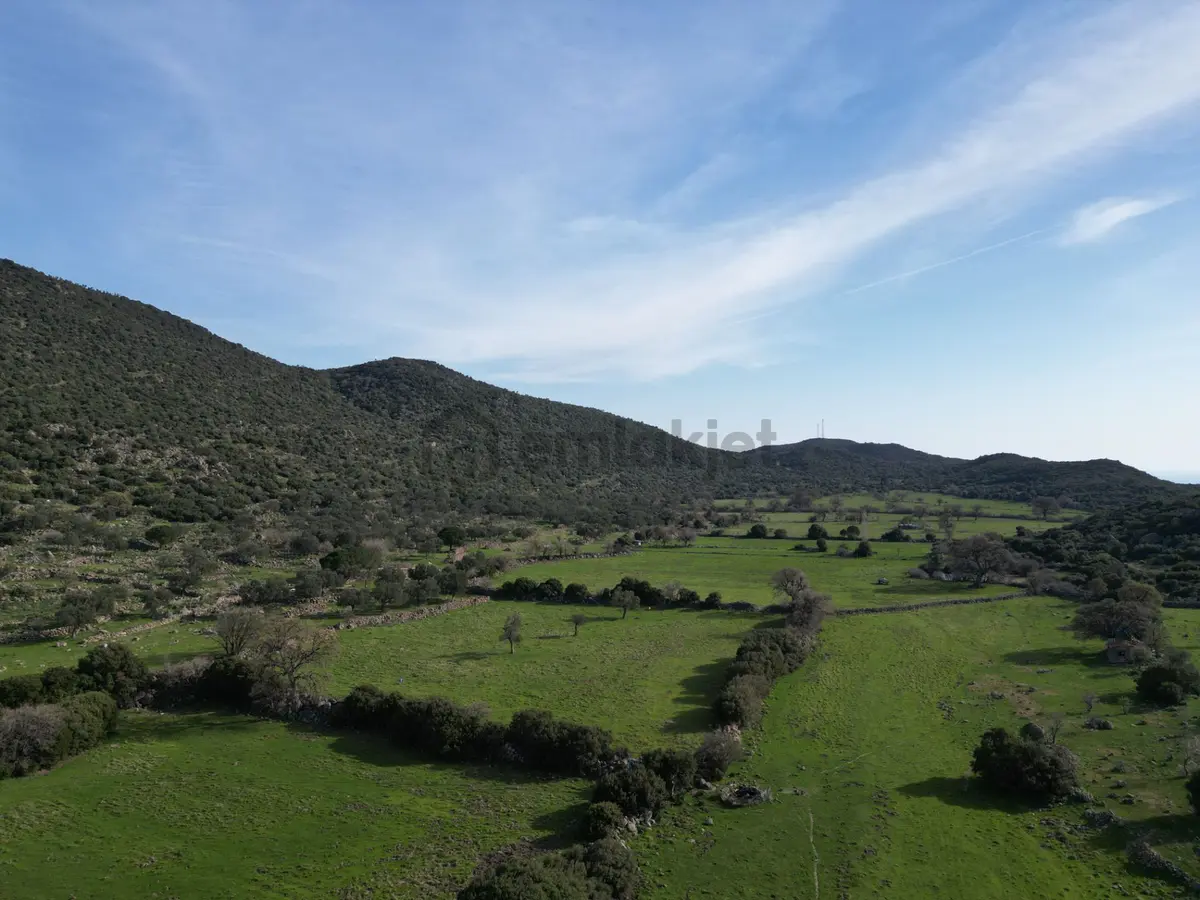 Dikili Denizköyde 138.735 M² Deniz Manzaralı Yatırımlık Tarla - 19