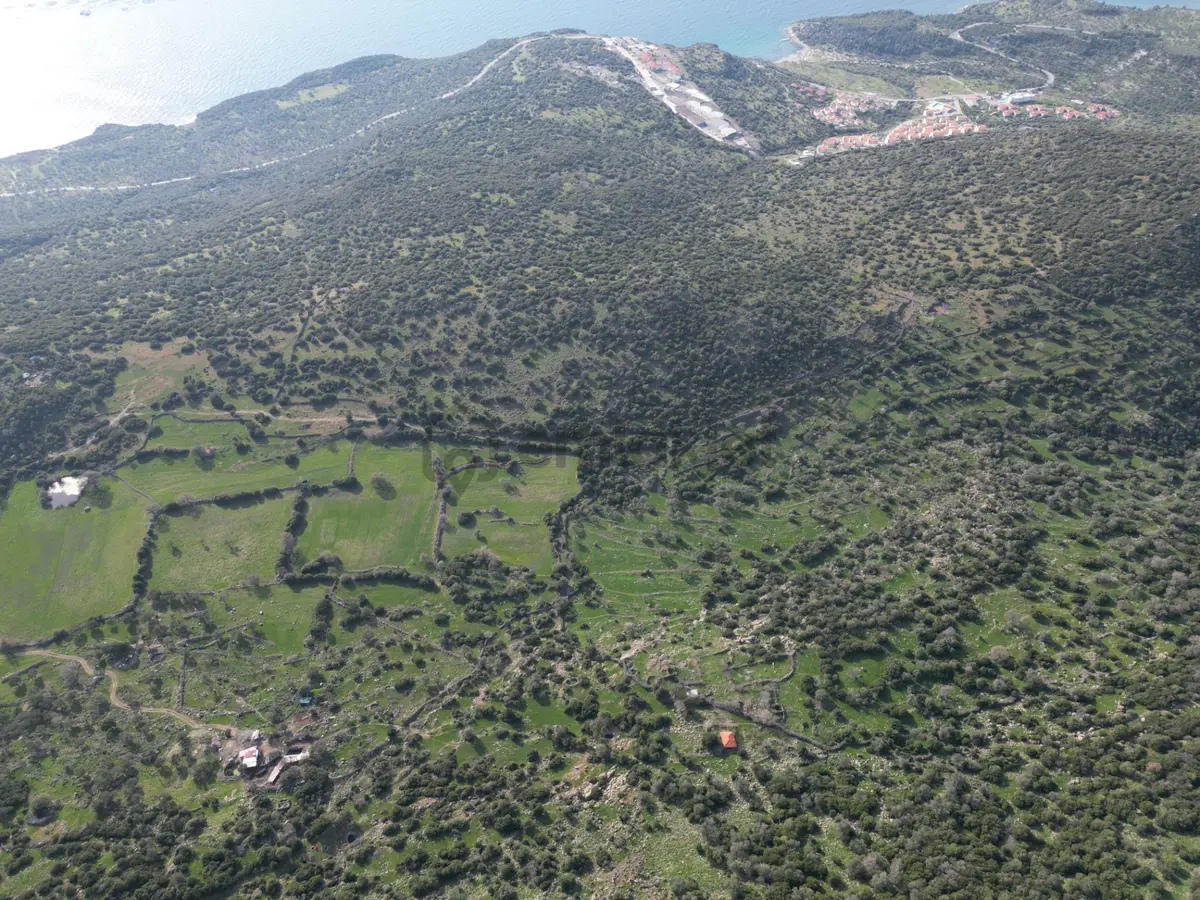 Dikili Denizköyde 138.735 M² Deniz Manzaralı Yatırımlık Tarla - 23