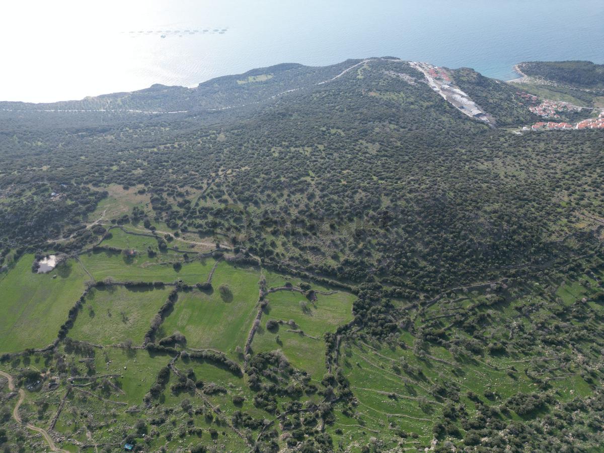 Dikili Denizköyde 138.735 M² Deniz Manzaralı Yatırımlık Tarla - 20