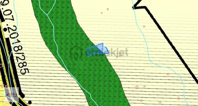 Liva'dan Reşadiye'de Tek Tapu 2462 M² Bağ - 20