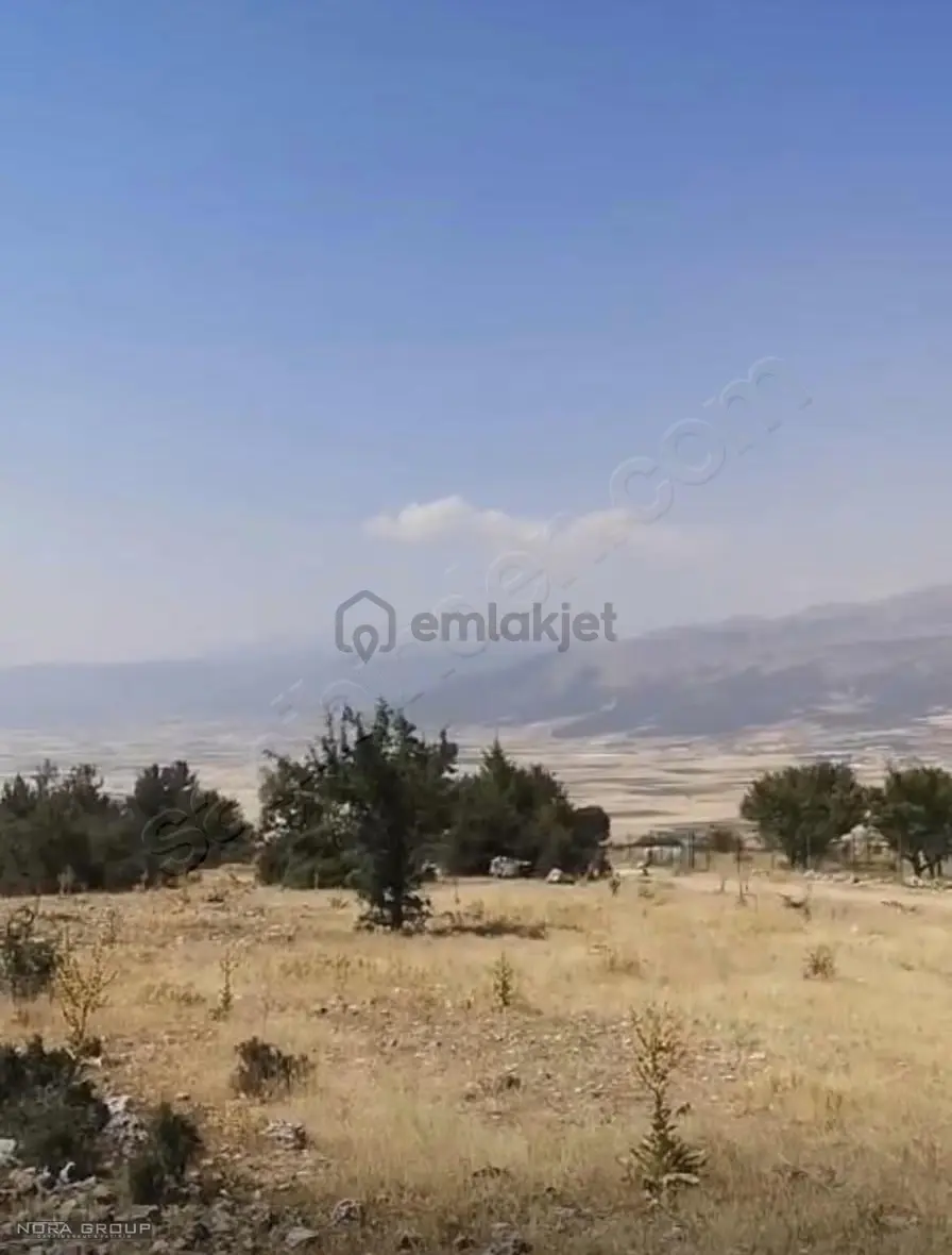 Serinhisar Ayaz Satılık Yatırımlık Tarla - 4