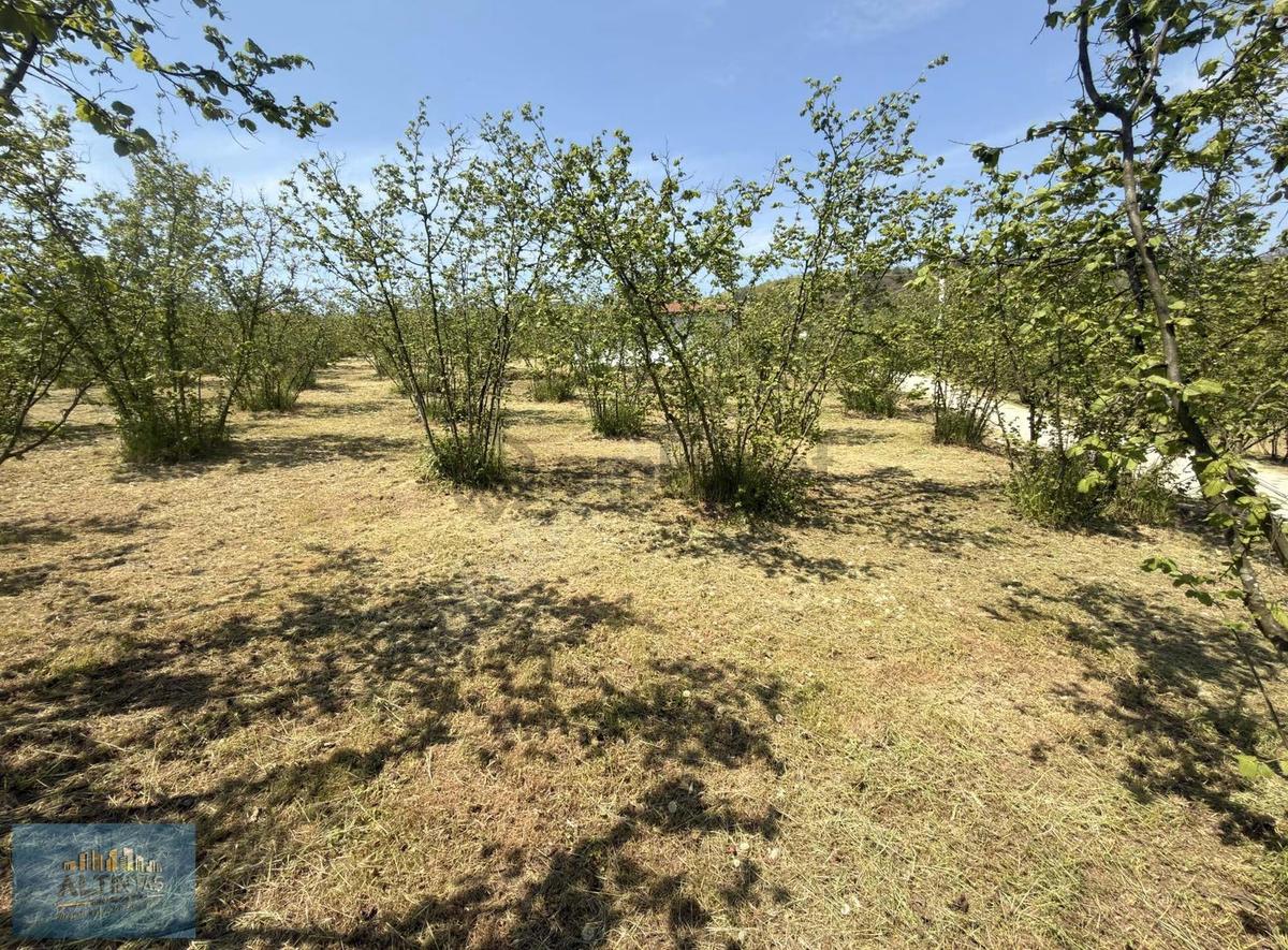 Doğanın İçinde Manzaralı Köşe Parsel Satılık Müstakil Ev - 18