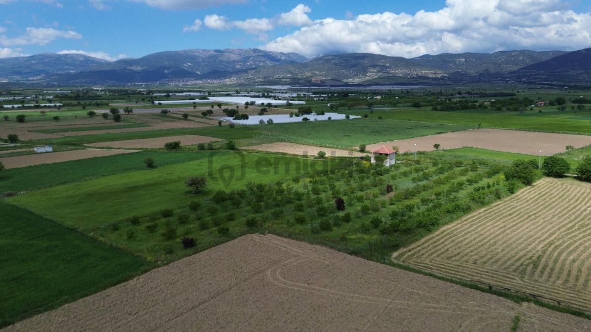 Korkuteli Yeşilyayla Satılık 6480m²bahçe - 8