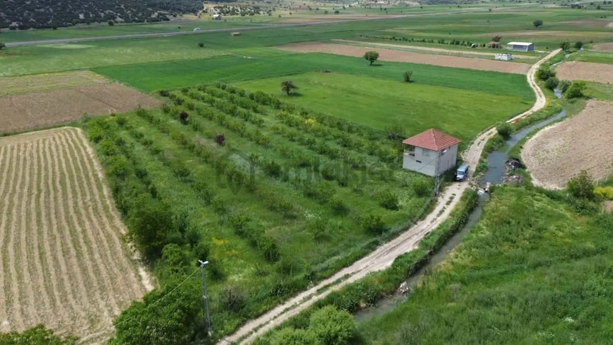 Korkuteli Yeşilyayla Satılık 6480m²bahçe - 6