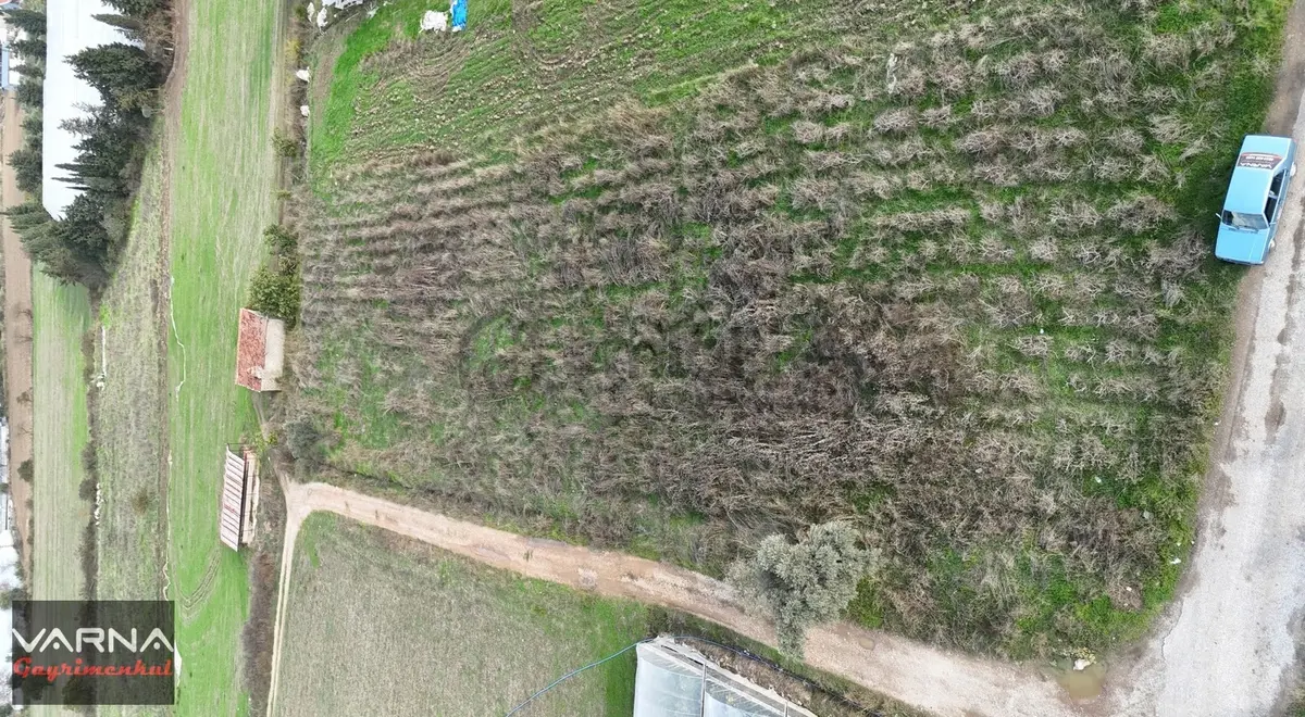 İzmir Değirmenderede Satılık Tektapu 2.650 M2 Köşe Tarla - 15