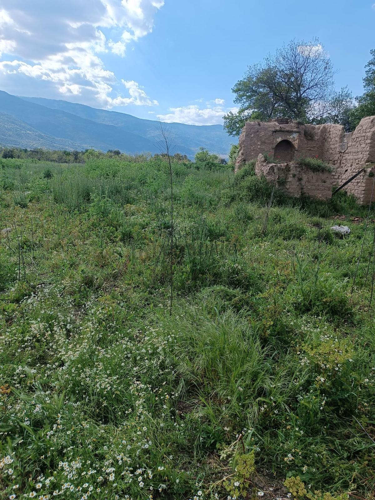 Kupon Tarla - 3