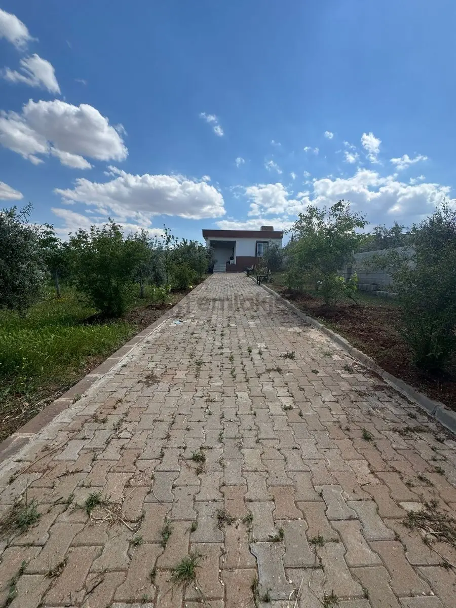 Küllüde 1350 M² Satılık Bağ Evi - 15