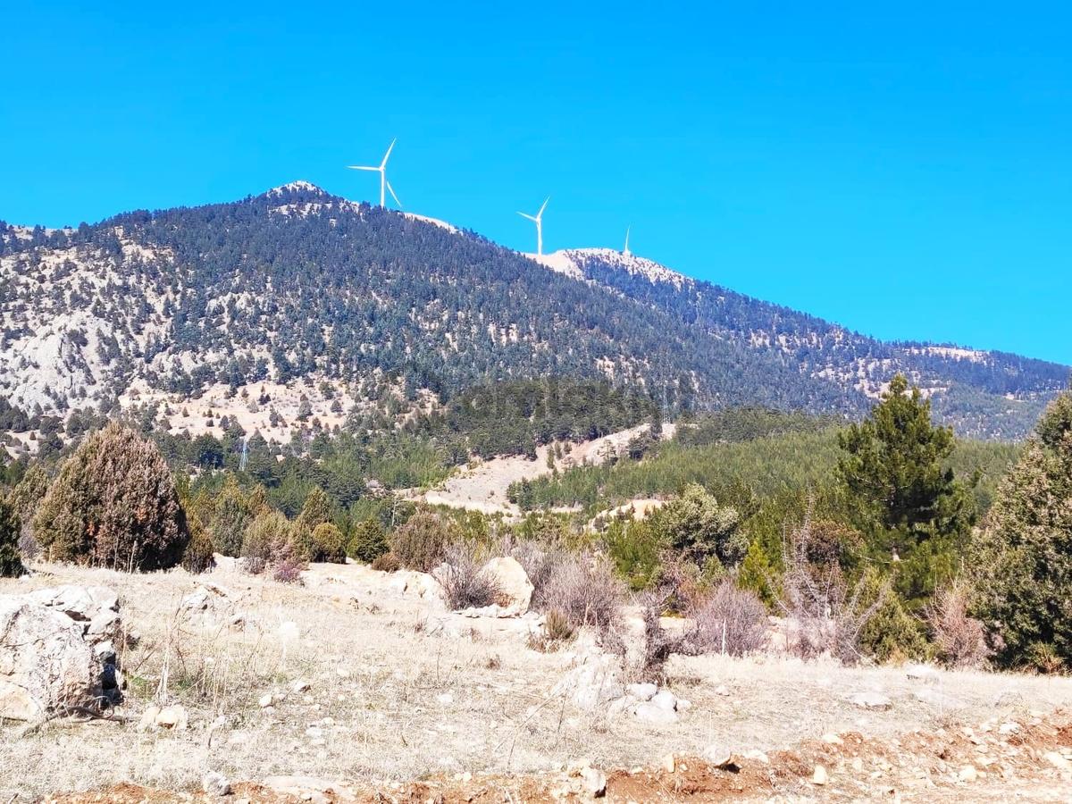 Kar Emlaktan Alpu Yaylasında 500m2 Satılık Arsa - 7