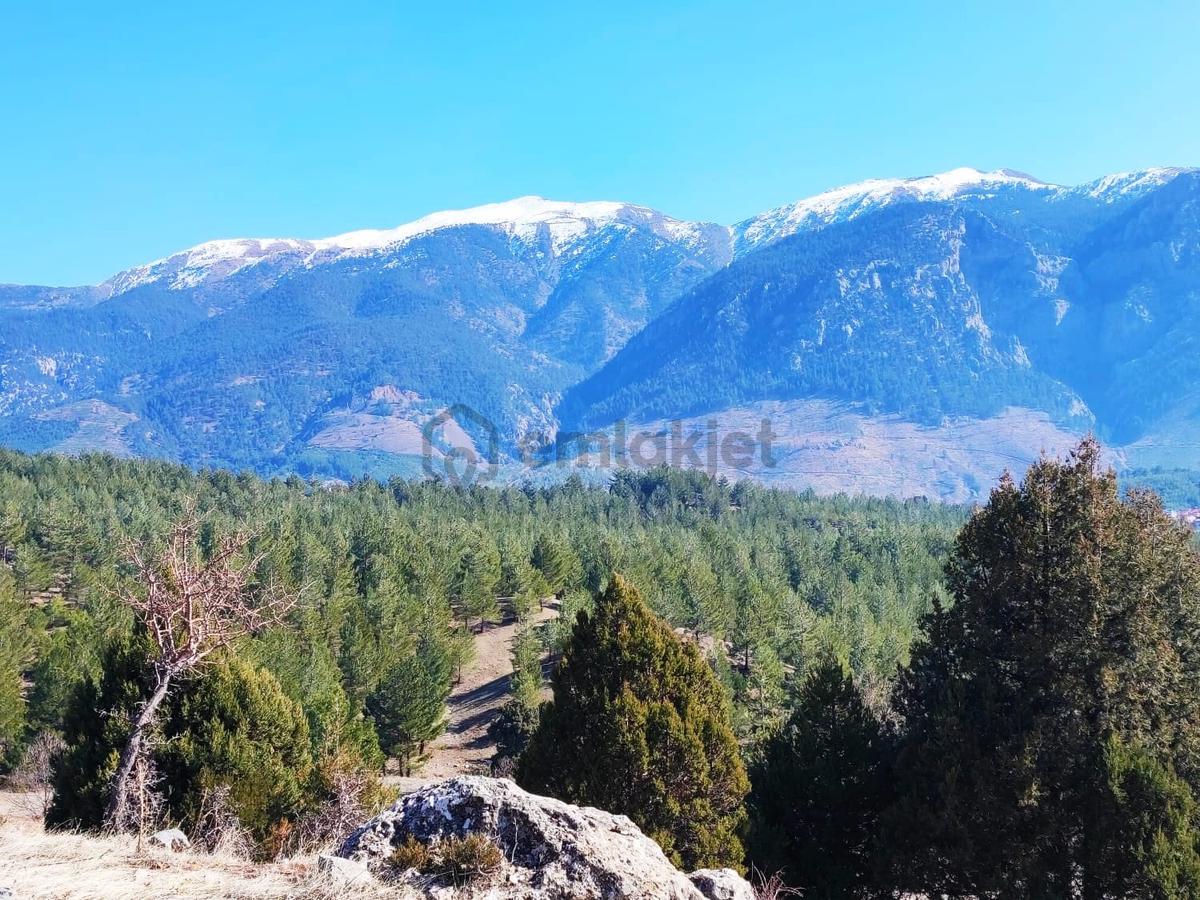 Kar Emlaktan Alpu Yaylasında 500m2 Satılık Arsa - 32