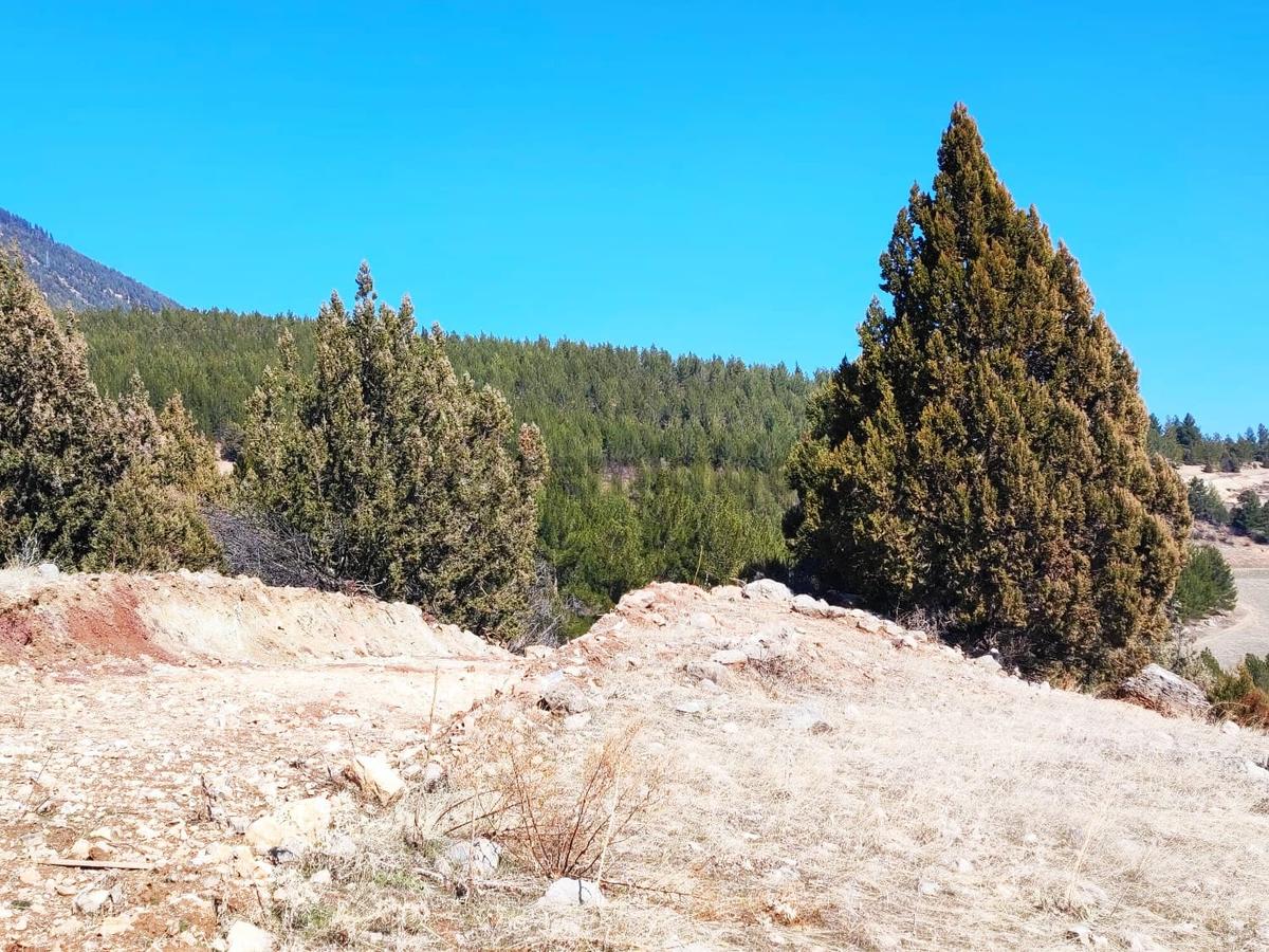 Kar Emlaktan Alpu Yaylasında 500m2 Satılık Arsa - 12