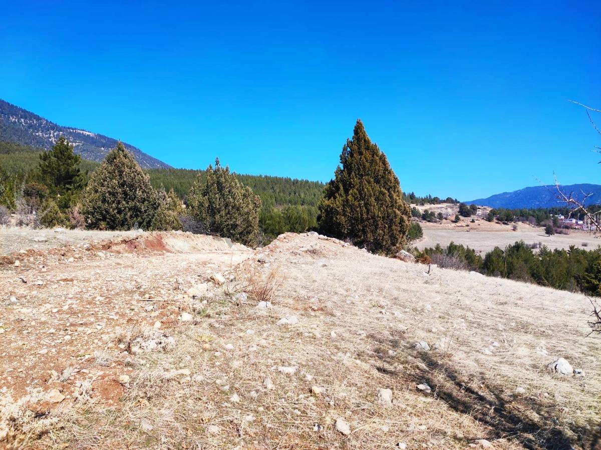 Kar Emlaktan Alpu Yaylasında 500m2 Satılık Arsa - 8