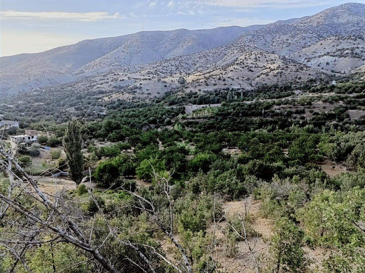 Panoramik Doğa Manzaralı Satılık Mezra (evler-bahçeler)... - 21