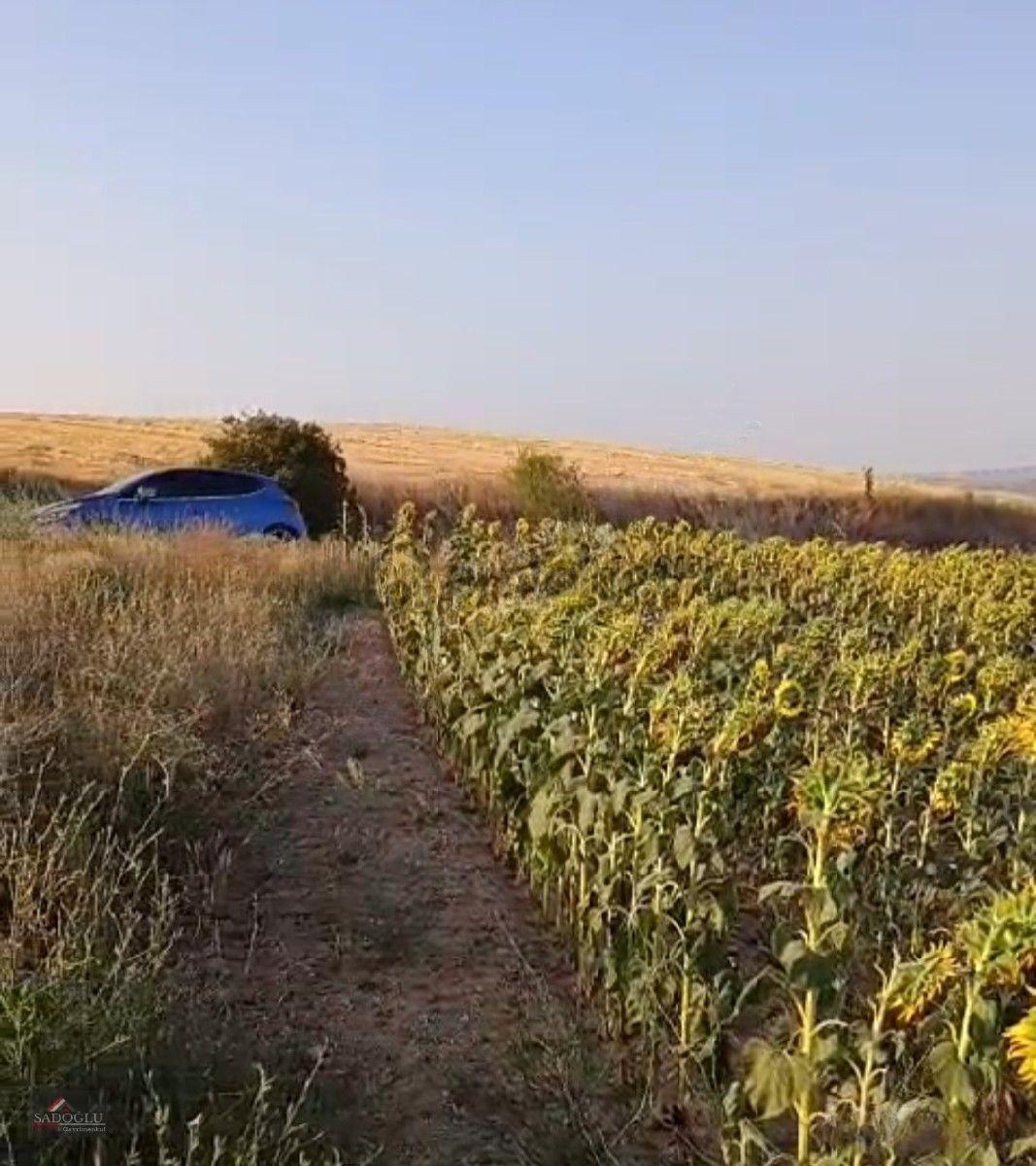 Koyunbaba'da 2.400 M2 Satılık Arazi - 5