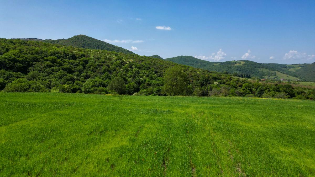 Uzmanlar'dan Karamürsel Dereköy 36.802 M2 %5 İmarlı Satılık Tarla - 14