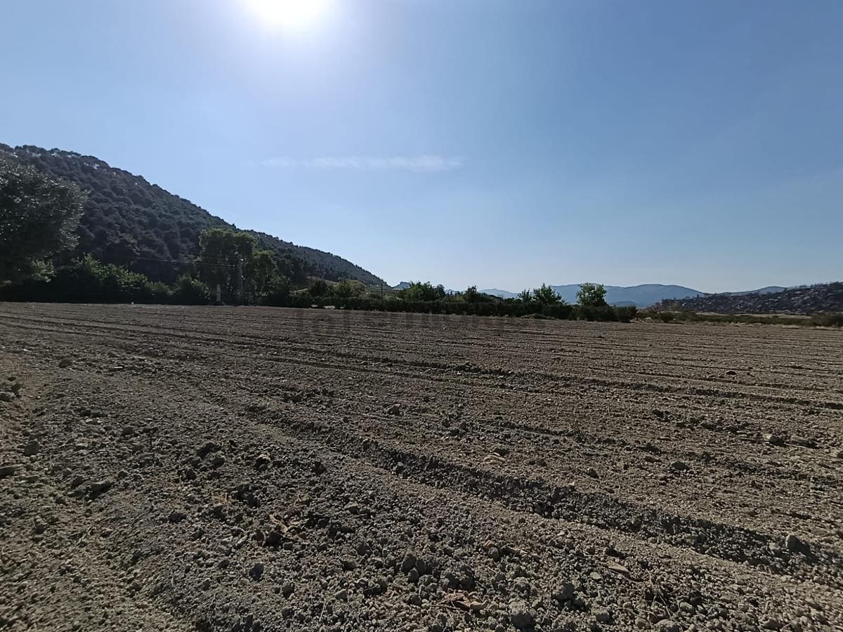 F.akboga İnşaattan Osmaneli Selçikte Satılık Bahçe 2204 M2 - 5