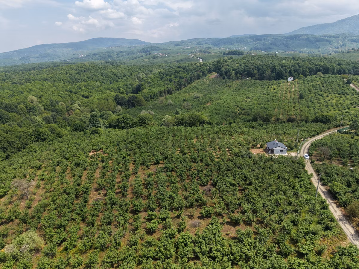 Emlakevim - Hendek Gündoğan Köyünde Satılık Doğa İçinde Arsa - 9