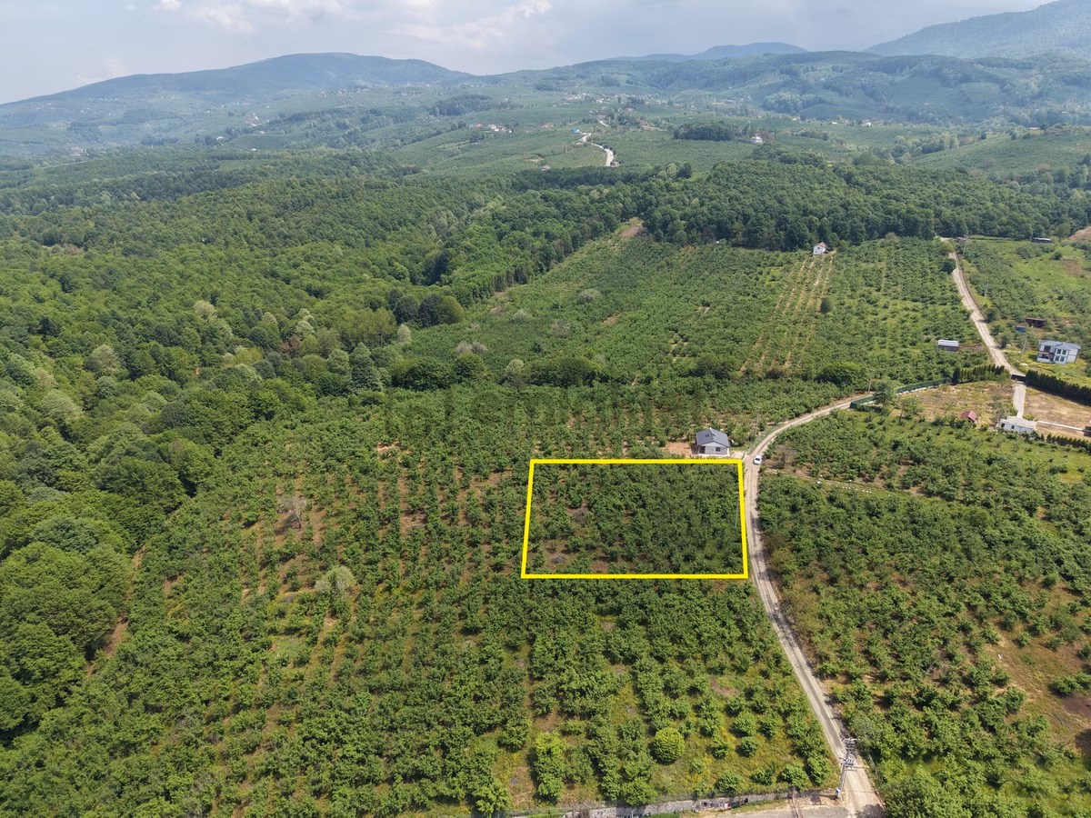Emlakevim - Hendek Gündoğan Köyünde Satılık Doğa İçinde Arsa - 7