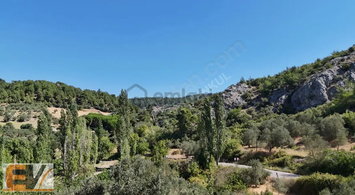 İzmir Bergama Alhatlı Yolu Olan 476 M2 Bahçe - 12