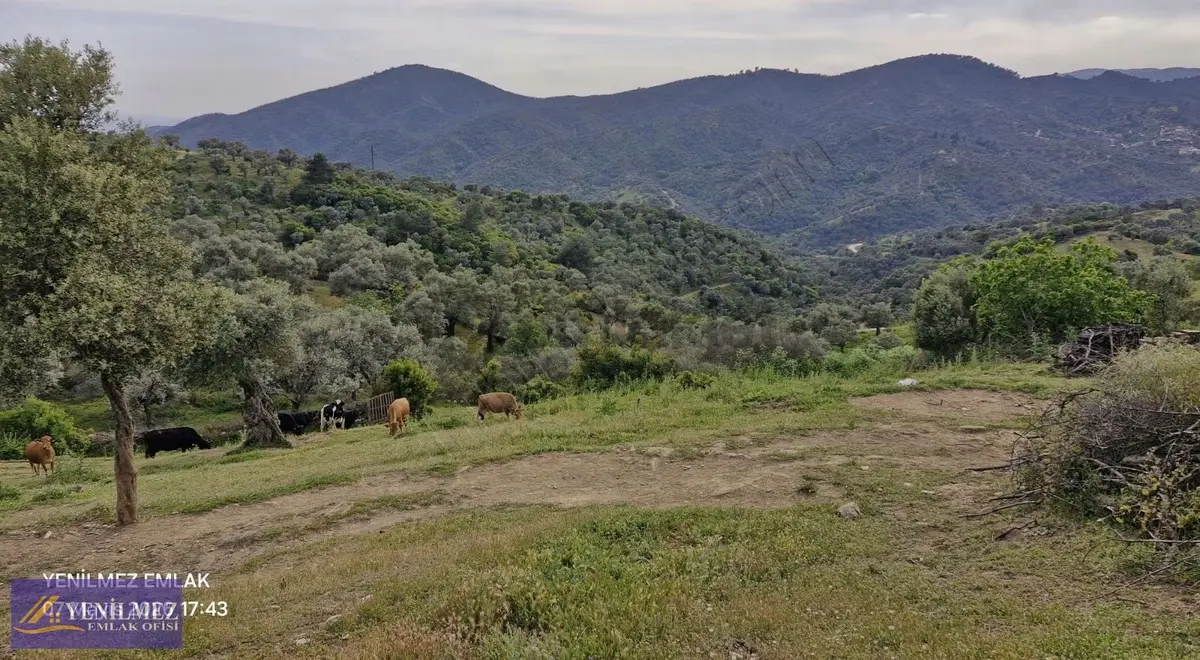 Yerleşim Yeri Bitişiği Satılık Arazi - 12
