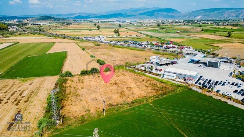 Milas Akyol Köyü Satılık Tarla - 2