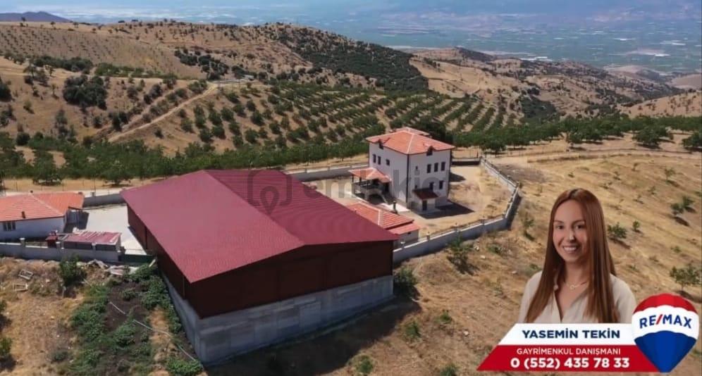 Manisa Kula 260 Dönüm Satılık Ceviz Çiftliği - 3