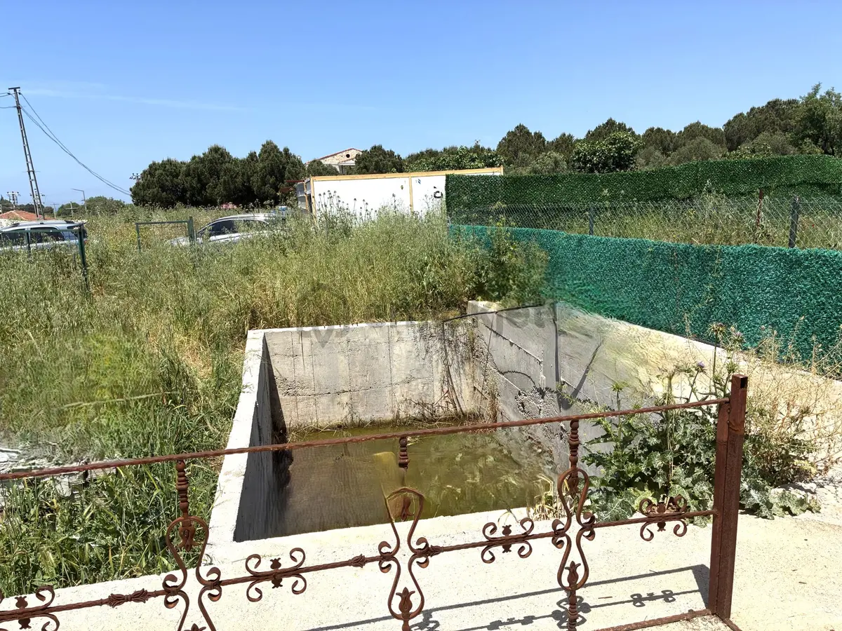Foça Kozbeyli'de Yol Cepheli Satılık Tarla - 6