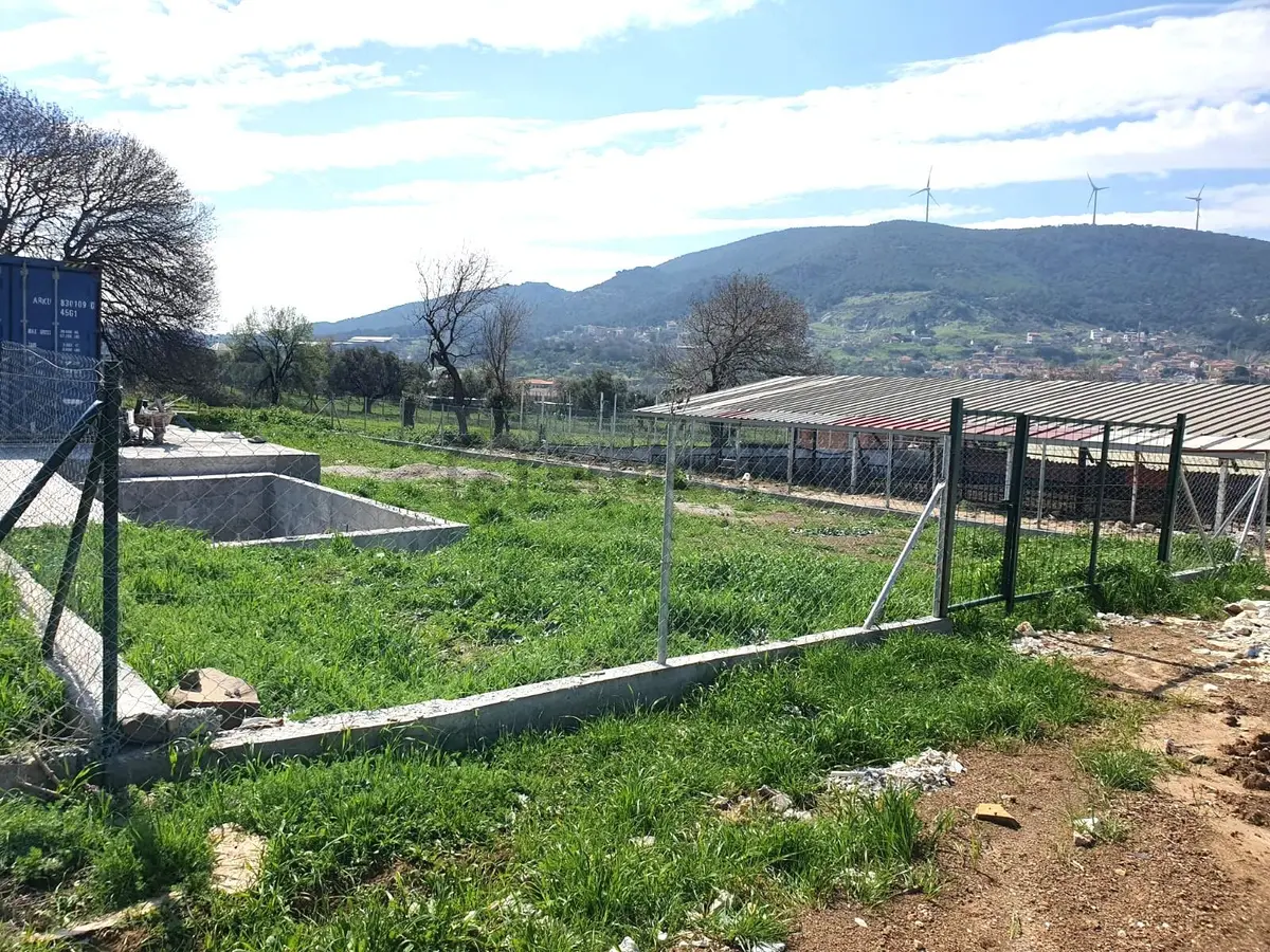 Foça Kozbeyli'de Yol Cepheli Satılık Tarla - 9