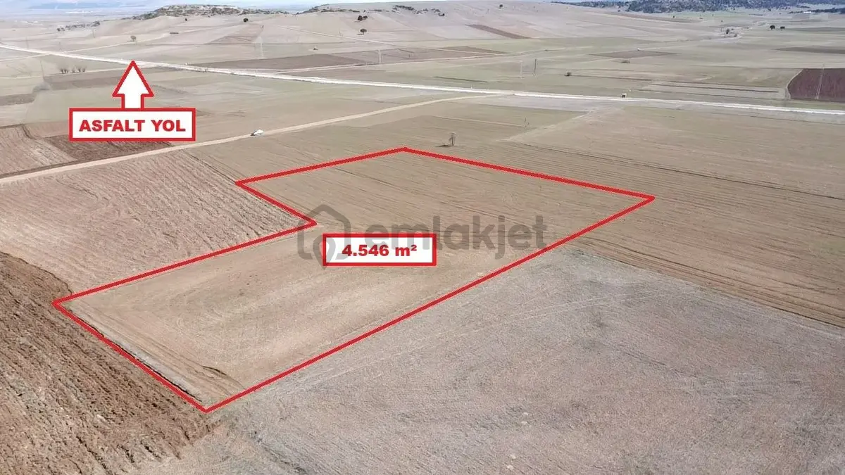Kütahya Altıntaş Üçhüyük' De 4546 M2 Satılık Tarla - 9