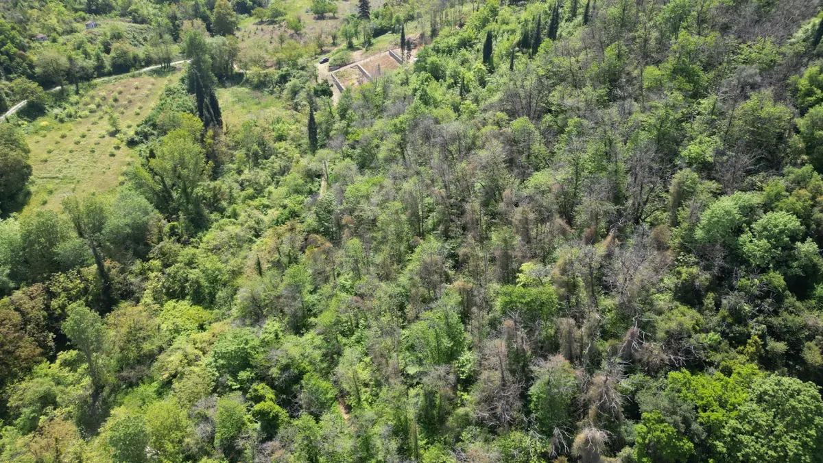 Karamürsel Dereköy 1698 M2 %5 İmarlı Satılık Parsel - 4