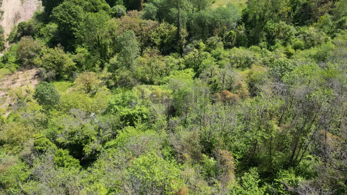 Karamürsel Dereköy 1698 M2 %5 İmarlı Satılık Parsel - 9