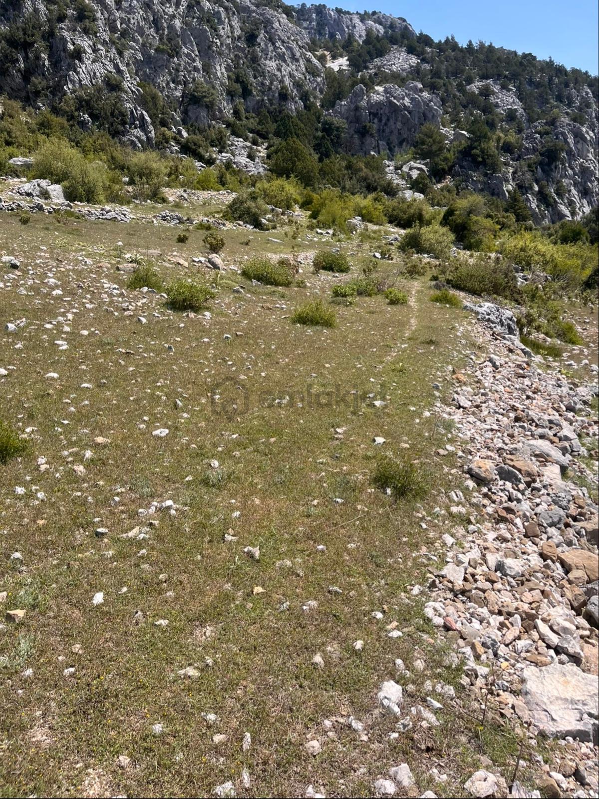 Sahibinden Sahıbinde Güzel Konum - 8