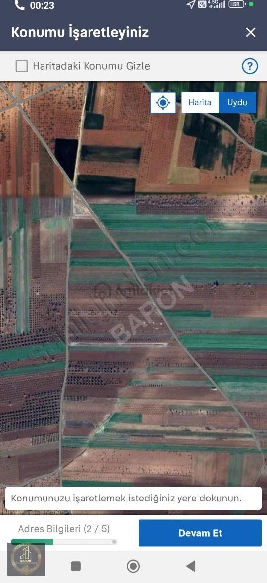 Baronda Satlık Bagevlik Arazi - 4