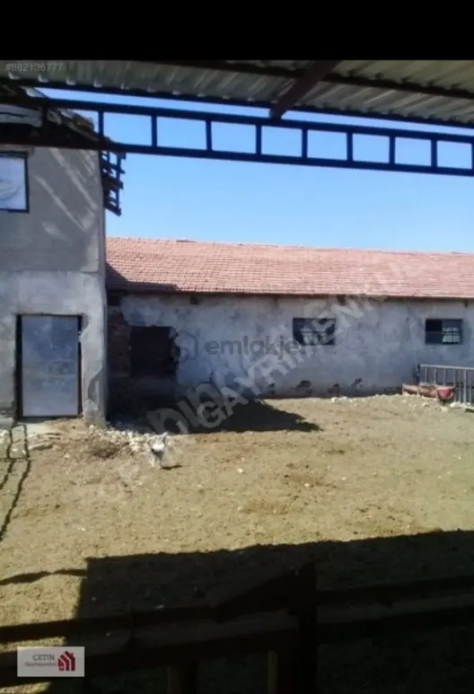 Burdur Merkez Büğdüz | 1820 M² Arsa İçinde Hayvan Çiftliği - 8