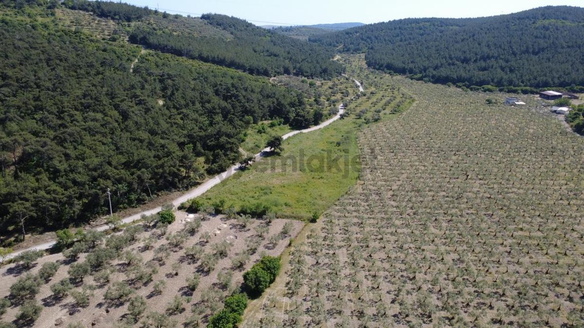 Yola Cephe 7000m2 Tek Tapu Arsa - 25